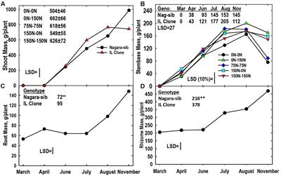 Nitrogen Reserve Pools in Two Miscanthus × giganteus Genotypes under Contrasting N Managements